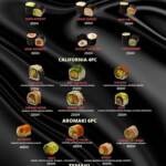 Menu IKURA SUSHI Marrakech June 2023 594120-770000